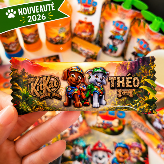 Break Gaufrette Choco