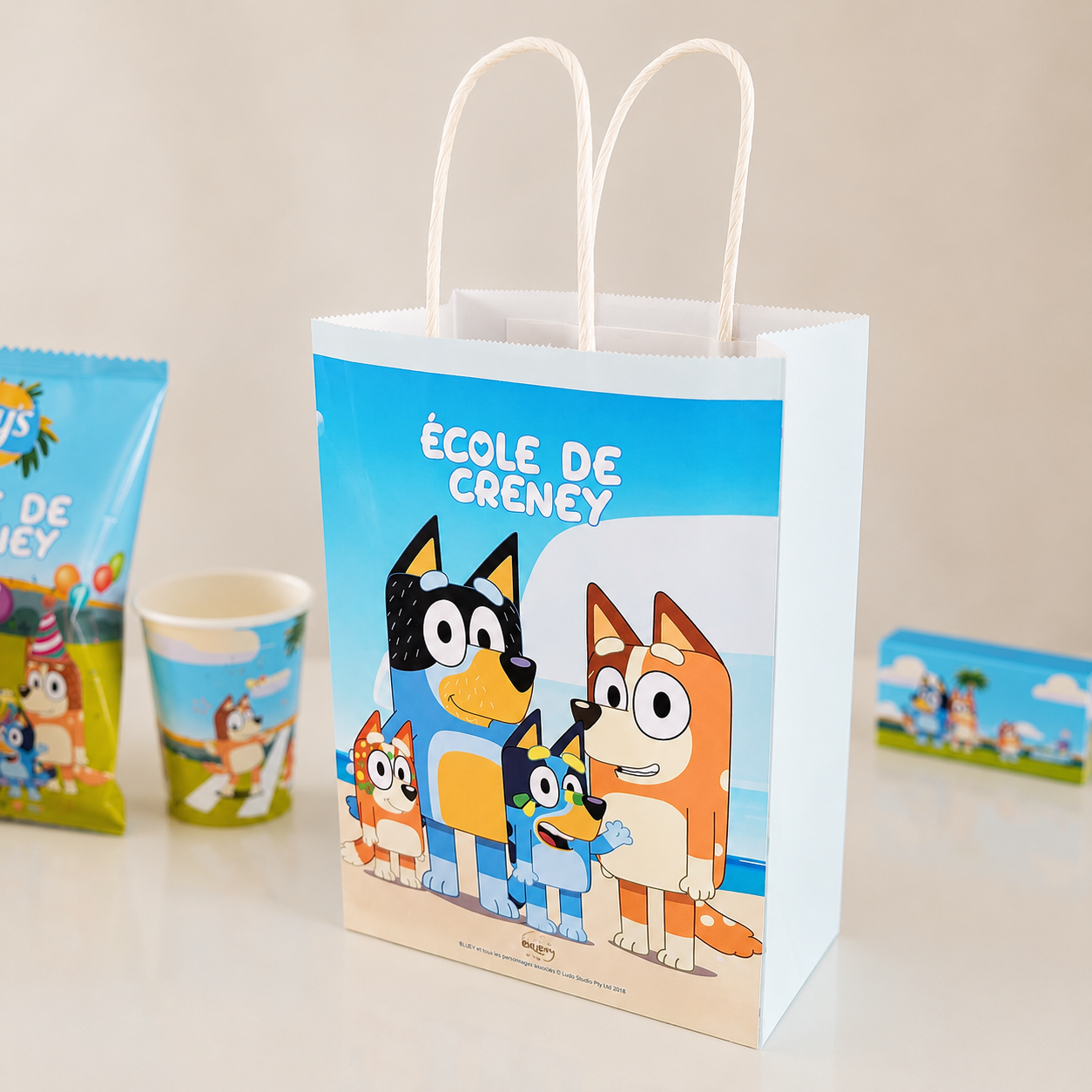 Sac papier cadeaux (lot de 3)